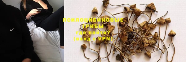 трава Алексеевка